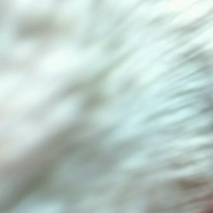 Meet your Posher, Layna